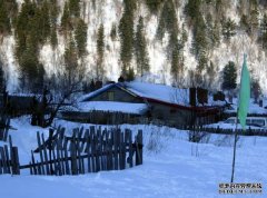 ������ѩ�����Ļ�