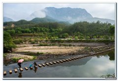 ���գ�˾����Ͽ��