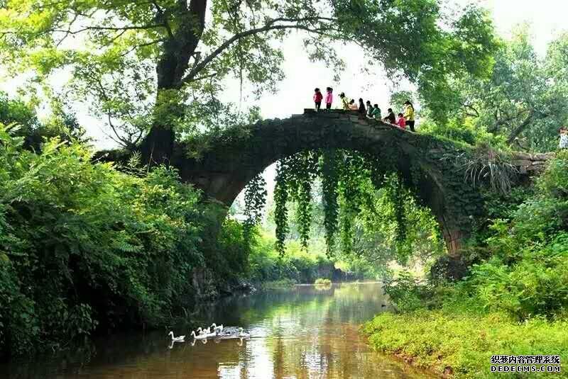 �ŷ���̾�����